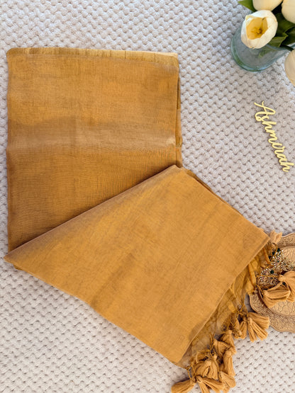 Tissue Silk Saree 01